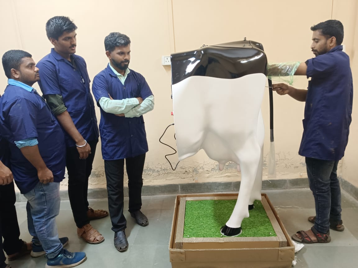 Departmental Facility   Simulation Laboratory  Cow Model For Per Rectal Examination & Artificial Insemination